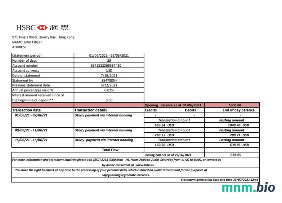 Szablon wyciągu z karty kredytowej Hong Kong Hsbc Bank Visa Platinum w formacie Word i PDF